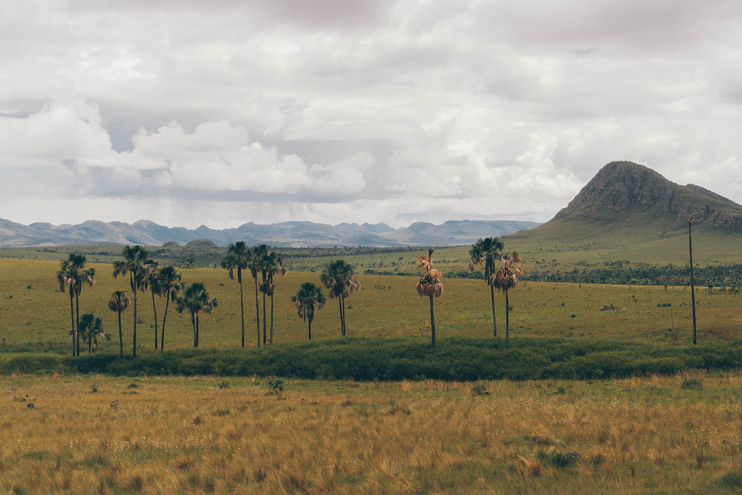 O que fazer na Chapada dos Veadeiros 9 Atrações Incríveis T M